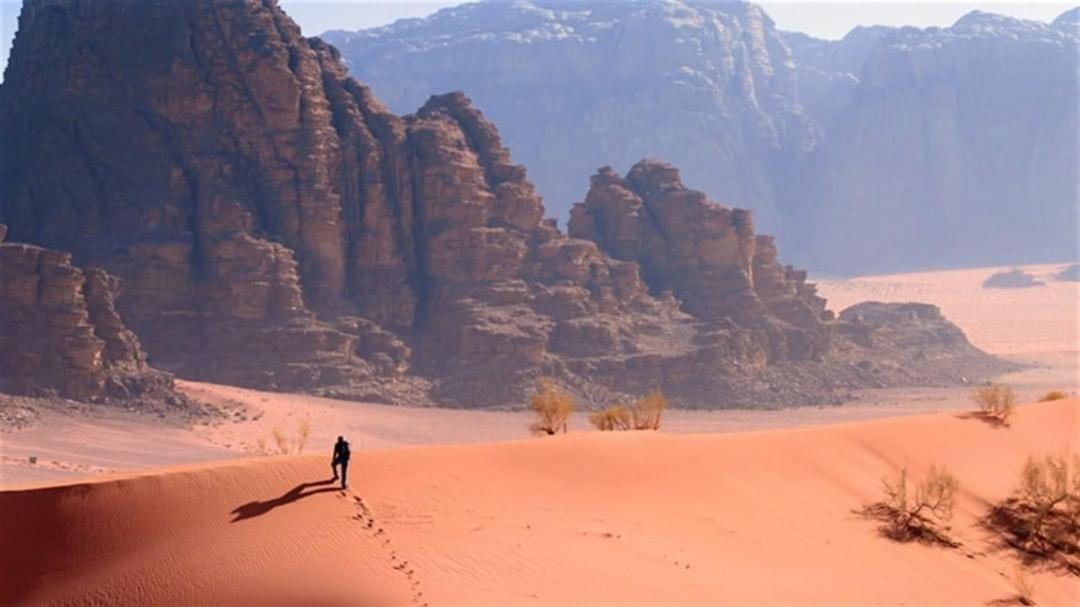 Ammar Rum Camp And Tours Wadi Rum Esterno foto
