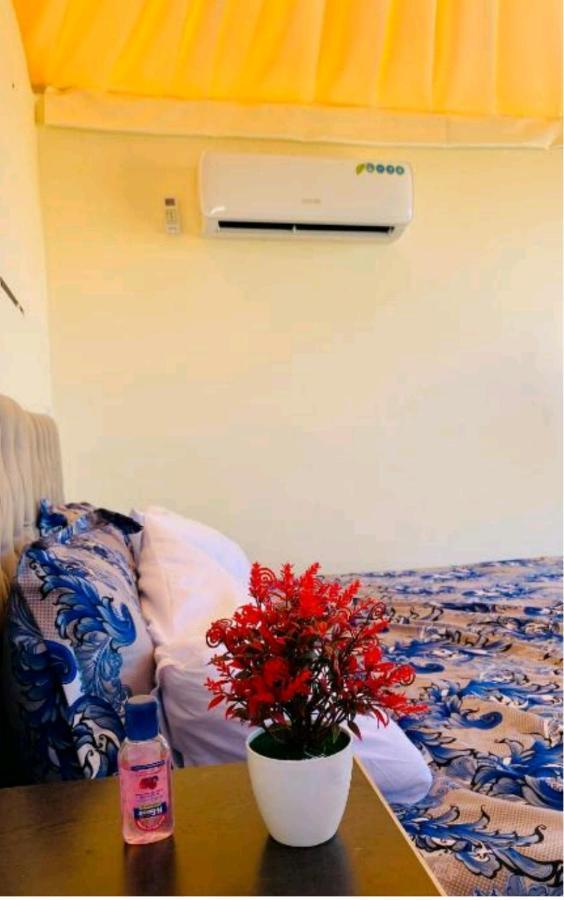 Ammar Rum Camp And Tours Wadi Rum Esterno foto