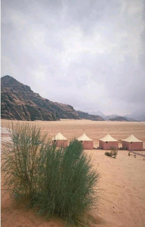 Ammar Rum Camp And Tours Wadi Rum Esterno foto