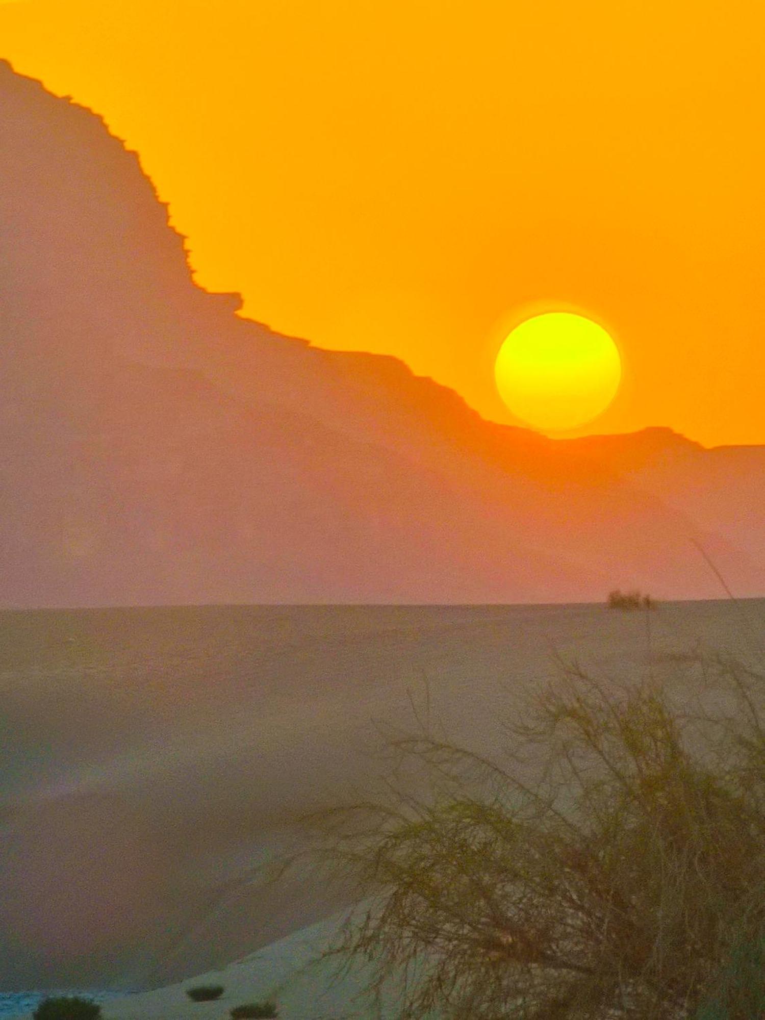 Ammar Rum Camp And Tours Wadi Rum Esterno foto